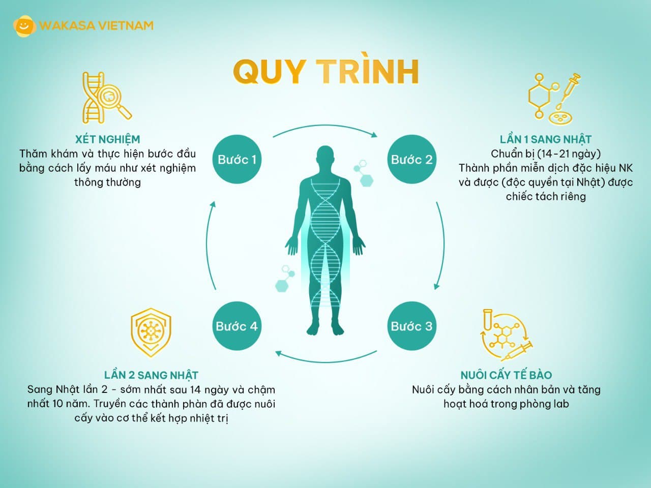 Tìm hiểu cơ chế khám chữa bệnh – thiết kế 640×1280